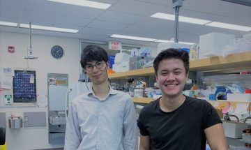 Undergraduate students Lucas Rempel and Joshua Hashimoto from the Rossi Lab, who were two of Dr. Marine Theret's mentees that nominated her for the Neil Mackenzie Mentorship Excellence Award 2021. They are smiling in the lab.