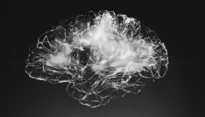 Black and white image of a brain. Credit: Unsplash.