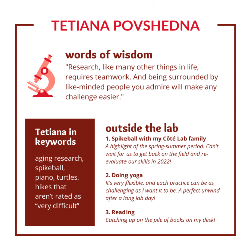 Infographic for Tetiana Povshedna. The graphic is in varying shades of red. Next to a cartoon image of a microscope, Tetiana shares words of wisdom: "Research, like many other things in life, requires teamwork. And being surrounded by like-minded people you admire will make any challenge easier." Sia in keywords: aging research, spikeball, piano, turtle, hikes that aren't rated as "very difficult". Outside the lab, Tetiana enjoys spikeball with her Côté Lab family, doing yoga, and reading.
