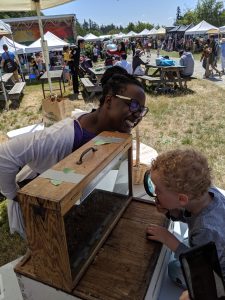 Mopelola Akinlaja, who won second place at the UBC 3MT, leans over a wooden box with bees safely kept inside to talk to a child looking at the bees. There are tents and crowds in the background.