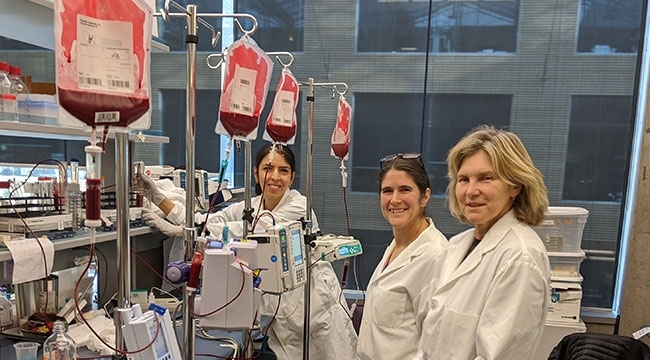 Dr. Narges Hadjesfandiari, Dr. Katherine Serrano and Dr. Elena Levin next to blood bags in Dr. Dana Devine’s lab at the Centre for Blood Research. 